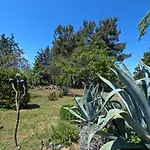 Pond And Pines, By House By The Sea! Lägenhet