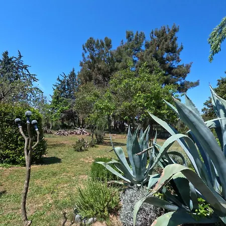 Pond And Pines, By House By The Sea! Apartment