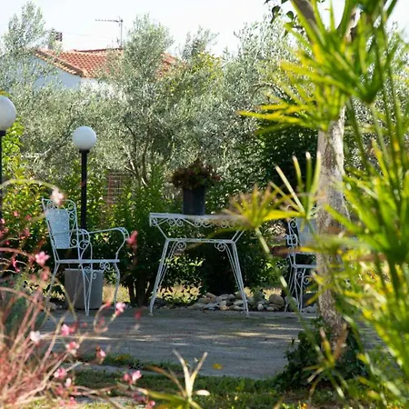 Pond And Pines, By House By The Sea! Apartment