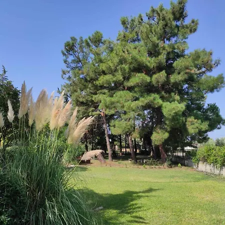 Apartment Pond And Pines, By House By The Sea! *
