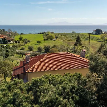 Pond And Pines, By House By The Sea!