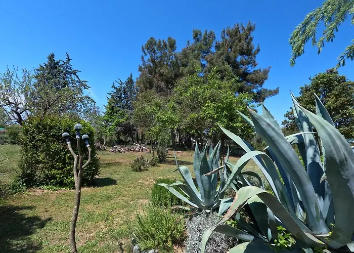 Pond And Pines, By House By The Sea! 公寓