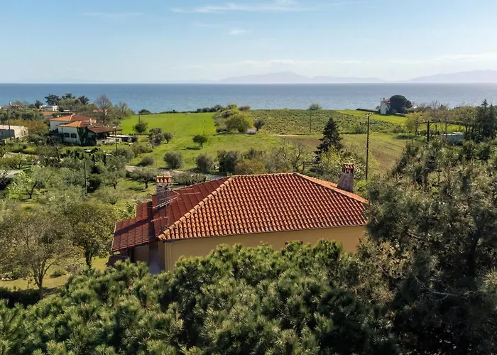 Pond And Pines, By House By The Sea!